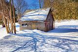 Shed & Shadows_21937